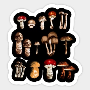 Mushroom Picker Mushrooms Collection Nature Lover Sticker